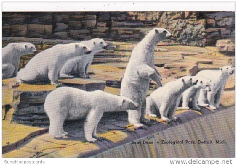 Michigan Detroit Polar Bear Dens In Zoological Park 1962