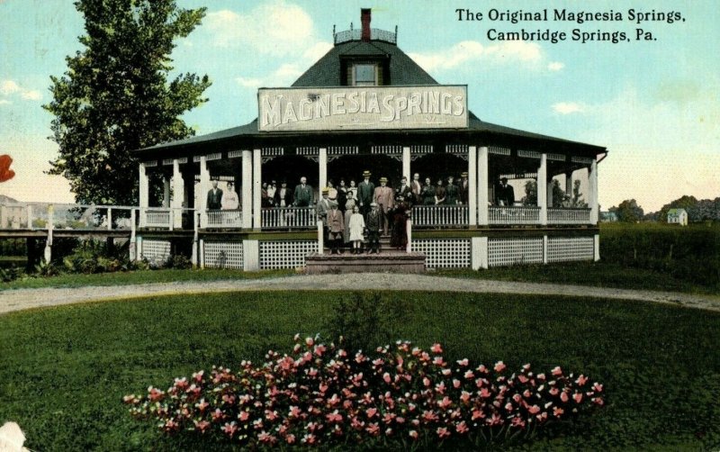 c. 1910 The Original Magnesia Springs, Cambridge Springs, PA Postcard P15 