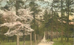 Hand colored 1920s Pine Grove Pinehurst North Carolina hand colored 2244