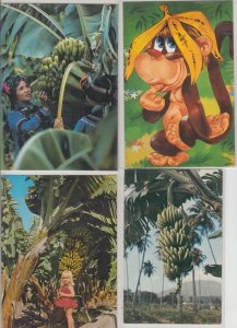 BANANE BANANAS INDUSTRY 17 postcards Mostly pre-1980 (L5431)