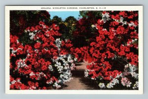 Charleston, SC-South Carolina Azaleas Middletown Gardens Vintage Linen Postcard