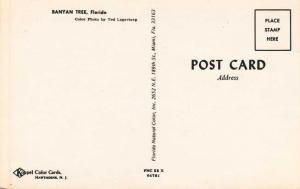 The Florida Banyan Tree