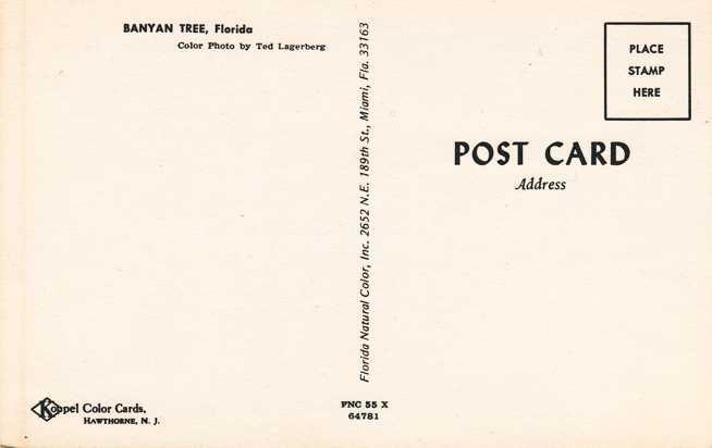 The Florida Banyan Tree