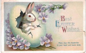 Clapsaddle Easter Uns Rabbit Bunny Egg AS IS 1910 A/S 