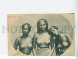 3173801 CEYLON nude Rodiya Girls Vintage postcard