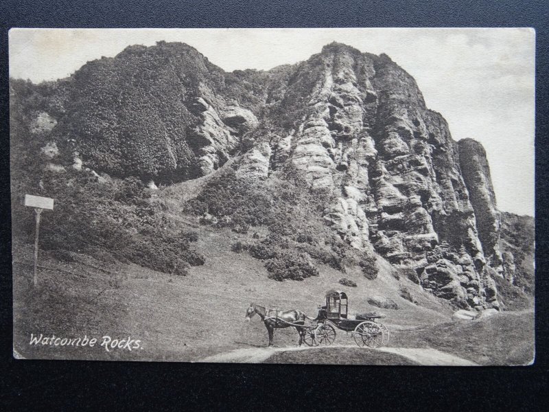 Devon Torquay WATCOMBE ROCKS showing Horse & Carriage c1907 Postcard by Frith