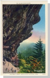 Smoky Mountains National Park, North Carolina/NC-TN Postcard, Alum Caves