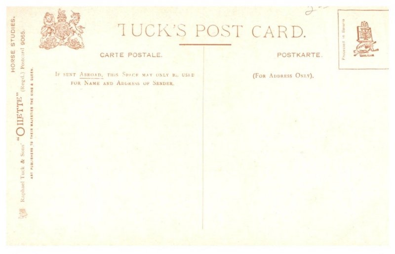 Horse   ,Hunter Mare and Foal