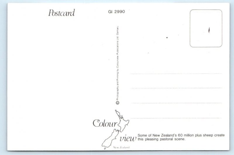 NEW ZEALAND Sheep Pasture 4x6 Postcard