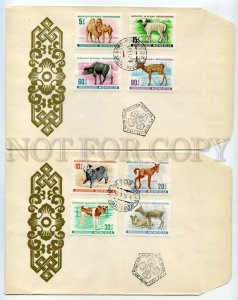 492612 MONGOLIA 1968 fauna pets colt camel calf Old SET FDC Covers