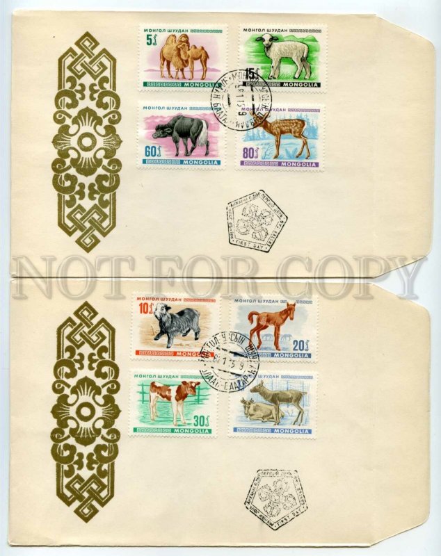 492612 MONGOLIA 1968 fauna pets colt camel calf Old SET FDC Covers