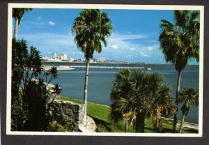 TX Ocean Drive view Corpus Christi Texas City Bldgs Postcard