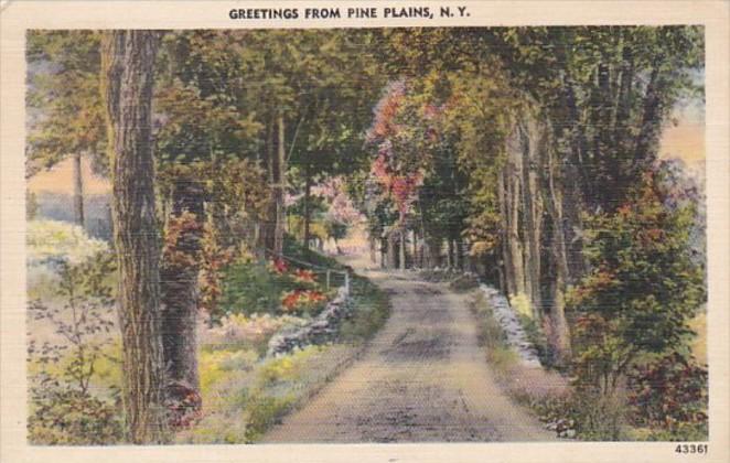 New York Greetings From Pine Plains 1948