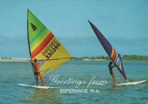 Australia Postcard -Sailboards,Greetings From Esperance,Western Australia RR9271