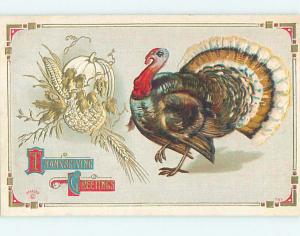 Pre-Linen thanksgiving COLORFUL TURKEY BIRD AND VEGETABLES HQ7450