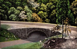 Tennessee Great Smoky Mountains The Loop-over Bridge