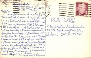 Beautiful Azaleas Spanish Moss Dixieland WOB Note 8c Eisenhower Stamp 1973 PM 