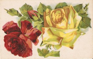 Red, yellow roses and buds Nice old vintage French postcard