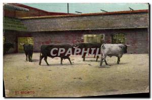 Postcard Old Bull Bullfight El ancierro