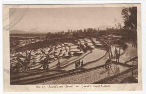 Sawah Terrace Irrigated Rice Garoet West Java Indonesia Dutch postcard