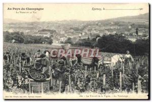 Old Postcard At Champagne country Vines and wine Epernay