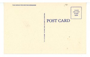 TN - Cherokee National Forest. Backbone Rock at Night