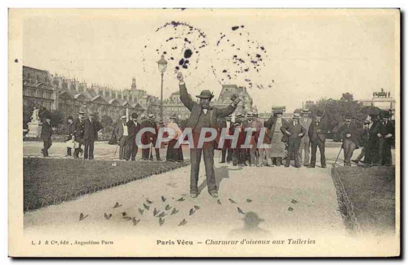 Old Postcard Paris Charmer Vecu d & # 39oiseaux Tuileries TOP