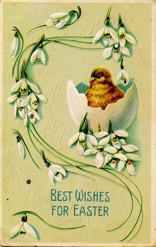 Greeting - Easter     (chick)