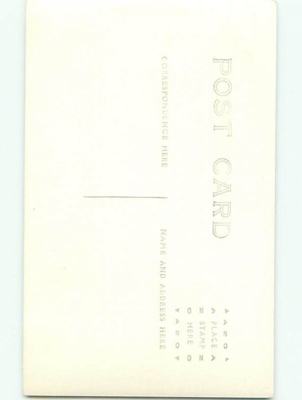 Old rppc NATURE SCENE Great Postcard AB0806