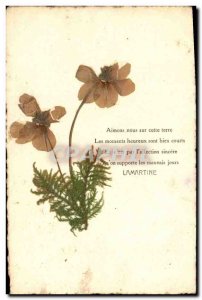 Old Postcard Fantasy Flowers dried