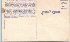 c1930s St Augustine, FL Indian Burial Ground Linen Postcard Skeletons A91