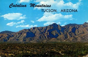Arizona Tucson The Catalina Mountains