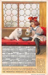 Insurance Postcards|Dog Postcards - Canine|Calendar Postcards