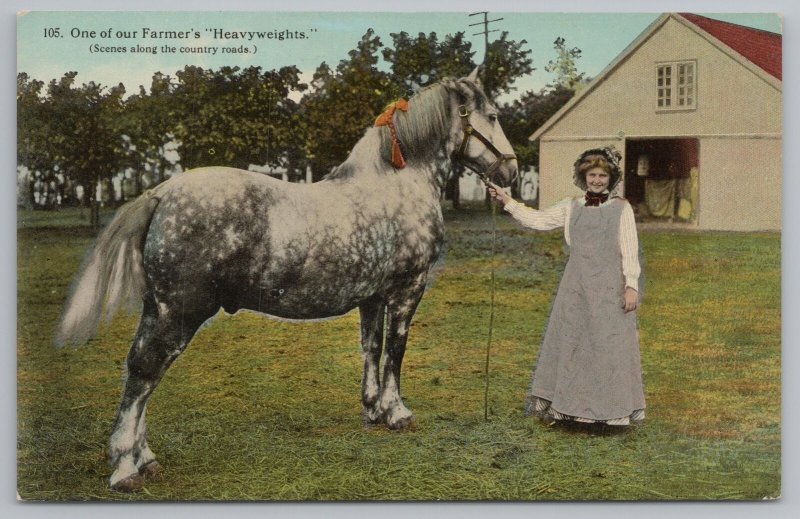 Farm~One Of Our Farmer's Heavyweights~Big Dapple Horse~Country Lady~Vintage PC 