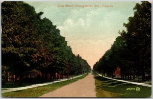 Postcard Orangeville Ontario c1910 Tina (Typo) Zina Street Dufferin County