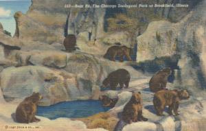 Bear Pit - Chicago Zoological Park - Zoo -Brookfield IL, Illinois - Linen