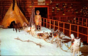 Canada Banff The Luxton Museum Woodland Cree Dog Team and Carriole