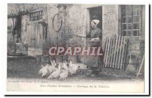A Bresse farm Postcard Old Poultry Breeding (reproduction)