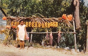 Little Fruit Vendor Jamaica Unused 