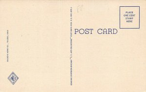 LP89 Toledo Ohio Vintage Postcard Walbridge Park Amphitheatre