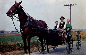 Pennsylvania Greetings From Dutch Country Young Amish Boys & Girls In Courtin...