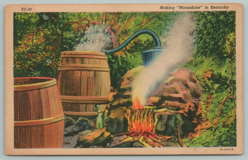 Kentucky~Making Moonshine In The Hills~Vintage Postcard