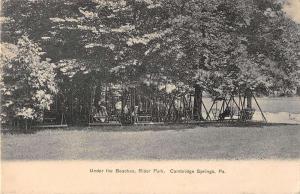 Cambridge Springs Pennsylvania scenic view inside Rider Park antique pc Y13204