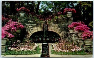 Postcard - Scene In Bellingrath Gardens - Mobile, Alabama