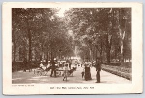 The Mall Central Park New York Family Activities And Lined-Trees View Postcard