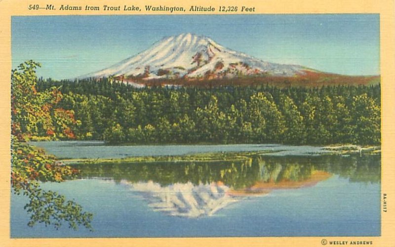 Washington, Mount Adams from Trout Lake Reflected in Water Linen Postcard Unused