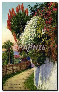 Old Postcard Menton Chemin Fleu