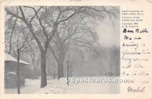 Snow, Central Park - New York City s, New York NY  