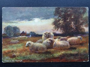 Country Rural Life SHEEP IN THE MOONLIGHT c1908 Postcard by Hildesheimer