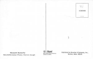Monarch Butterfly View Postcard Backing 
